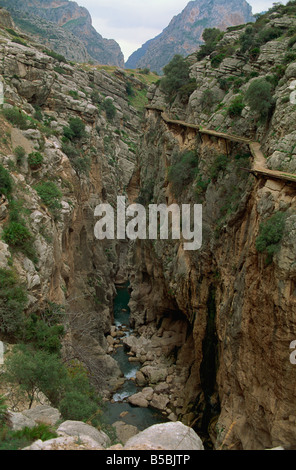 El Chorro Gorge et l'ancienne passerelle, la province de Malaga, Andalousie, Espagne, Europe Banque D'Images