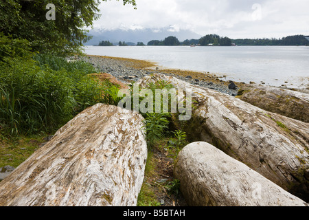 Sciage et rochers parsèment le canal de l'Est littoral en face d'une montagne de Sitka, Alaska Banque D'Images