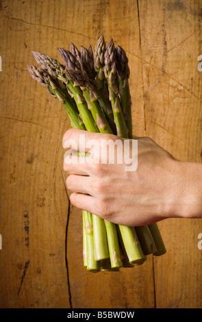 Studio les natures mortes d'une main agrippant un bouquet d'asperges en face d'un fond en bois Banque D'Images