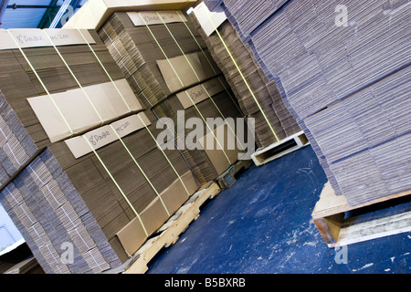 De nouvelles boîtes en carton plat regroupés sur le dessus des palettes en bois Banque D'Images