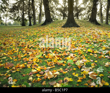 Go - GLOUCESTERSHIRE : Automne à Cheltenham Pittville Park Banque D'Images