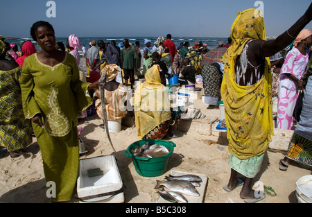 Les femmes l'achat et la vente de tout le poisson débarqué sur plage de Yoff Sénégal Afrique de l'Ouest Banque D'Images