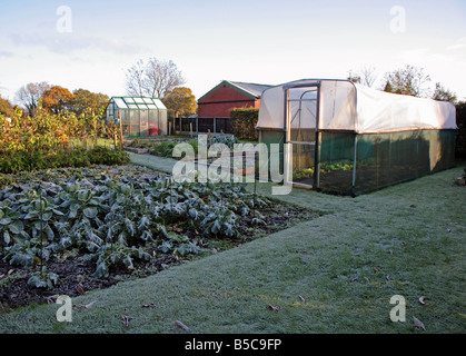 Jardin de légumes en hiver avec gel Banque D'Images