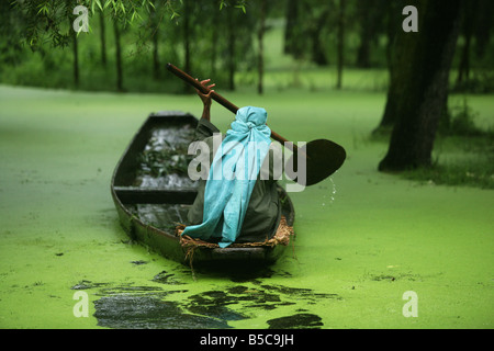 Les palettes d'une femme un canot sur le lac Dal, à Srinagar, au Cachemire, en Inde Banque D'Images