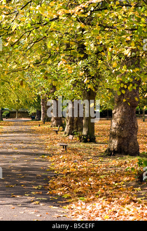 Parc Walpole Ealing W5 London United Kingdom Banque D'Images