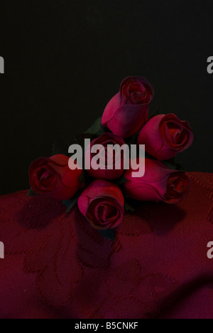 Une demi-douzaine de roses rouges Banque D'Images