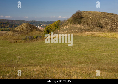 Tumps fleuri riche en espèces à l'automne près du village de saxon Apold Transylvanie Roumanie Banque D'Images