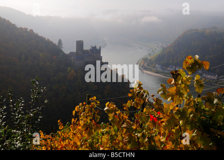 Château de la vallée du Rhin Katz à l'automne, Allemagne Banque D'Images