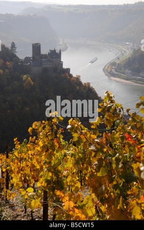 Château de la vallée du Rhin Katz à l'automne, Allemagne Banque D'Images