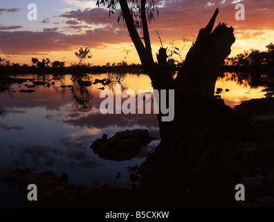 Coucher du soleil sur l'Ashburton River, au nord-ouest de l'Australie. Banque D'Images