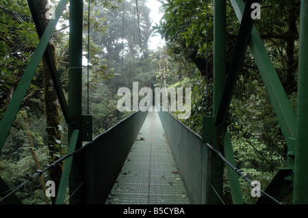 Passerelle suspendue dans le Parc National de Monteverde, Costa Rica Banque D'Images