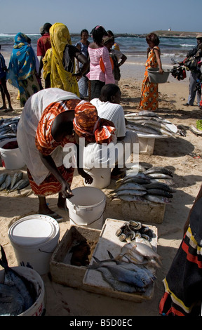 Les femmes l'achat et la vente de tout le poisson débarqué sur plage de Yoff Sénégal Afrique de l'Ouest Banque D'Images