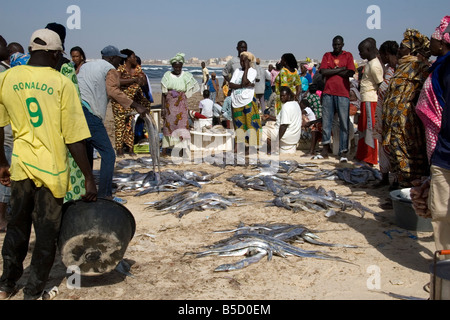 Les femmes l'achat que le poisson débarqué sur la plage de Yoff Le Sénégal Afrique de l'Ouest Banque D'Images