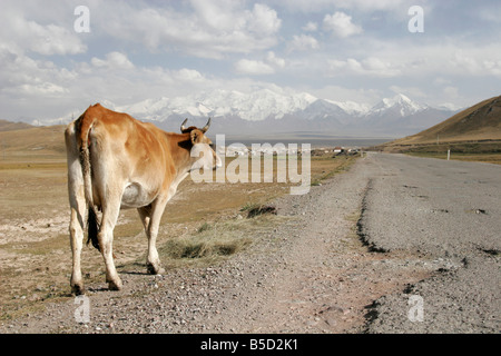 Sary Tash, ville frontière, Pamir couverte de neige, le Kirghizistan, l'Asie centrale Banque D'Images