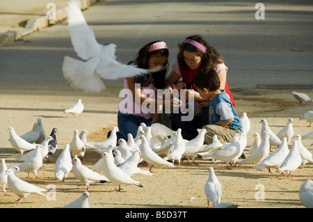 Les pigeons sur la place d'Amérique du Parque Maria Luisa Séville Andalousie Espagne Europe Banque D'Images