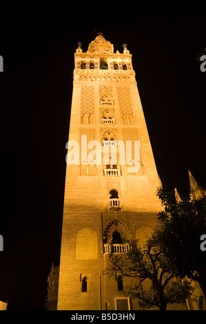 La Giralda la nuit, Plaza Virgen de los Reyes, quartier de Santa Cruz, à Séville, Andalousie, Espagne, Europe Banque D'Images