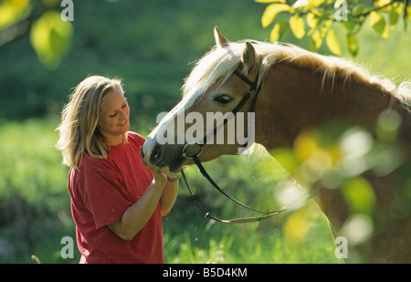 Cheval Haflinger (Equus caballus). Young woman petting horse Banque D'Images