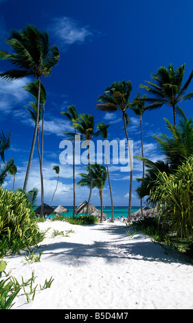 Plage de Playa Bavaro Punta Cana, République dominicaine, Caraïbes Banque D'Images