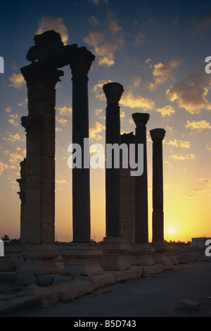 Lever du soleil sur la rue Main, Palmyre, Site du patrimoine mondial de l'UNESCO, en Syrie, au Moyen-Orient Banque D'Images