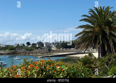 L'île de Batz Bretagne Finistere Banque D'Images