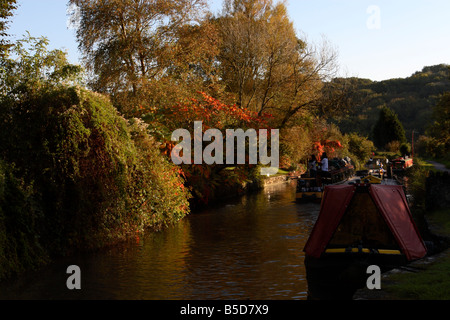 Narrowboats en automne sur le canal Kennet et Avon, près de Avoncliff, Wiltshire, England, UK Banque D'Images