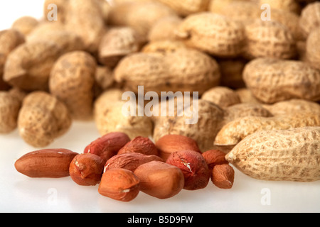 Tas d'arachides dans leurs coquilles et quelques fruits secs décortiqués Banque D'Images