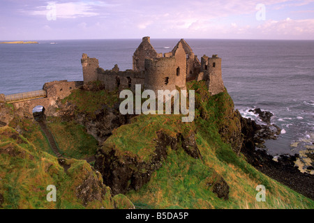 Le château de Dunluce, spectaculaire château-rocher couronné, Côte d'Antrim, près de Portrush, comté d'Antrim, l'Ulster (Irlande du Nord, , Europe Banque D'Images