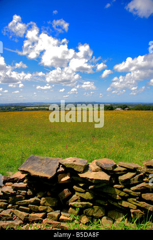 Paysage à Anglezark Moor Lancashire County England UK Banque D'Images