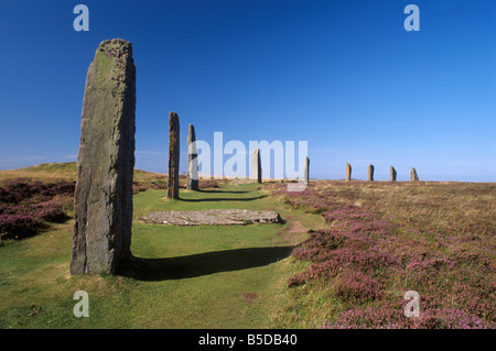 Anneau du cercle de pierres de Shetlands, 27 pierres de 60 encore debout, Mainland, îles Orcades, Ecosse Banque D'Images