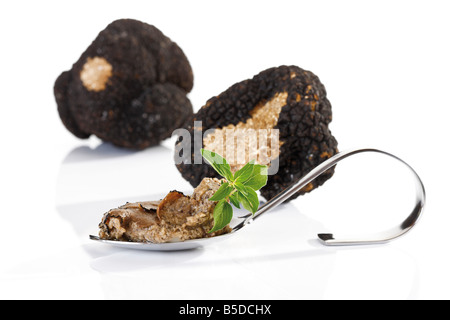 La truffe noire et truffe pesto sur spoon Banque D'Images