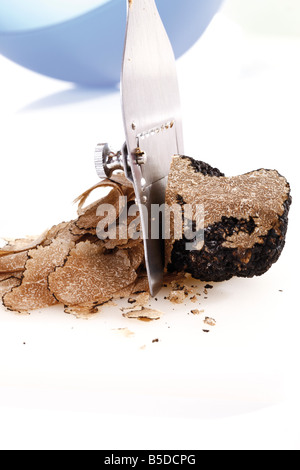 Truffe noire d'être tranchés, close-up Banque D'Images