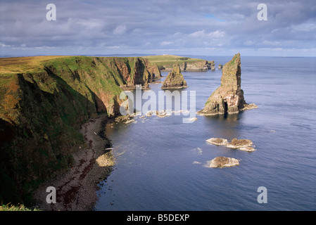 Les piles de la mer, Duncansby Head, Caithness, Highlands, Ecosse, Europe Banque D'Images