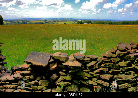 Paysage à Anglezark Moor Lancashire County England UK Banque D'Images