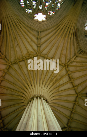 Plafond de la salle du chapitre cathédrale de Wells Somerset England United Kingdom Europe Banque D'Images