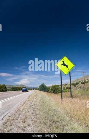 Panneau jaune deer crossing, USA Banque D'Images