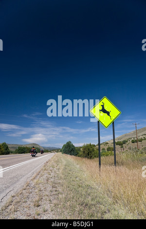 Panneau jaune deer crossing, USA Banque D'Images