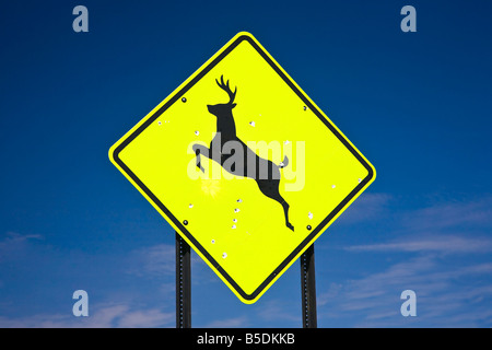 Panneau jaune deer crossing, USA Banque D'Images