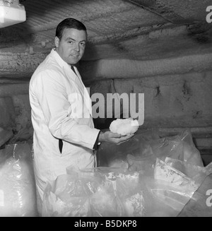 Fabrique de glace : scène à Londres une usine qui fabrique de la glace. Notre photo montre : un superviseur vérifie que la glace est broyée à la bonne taille avant d'être expédiés à Billingsgate Market. Octobre 1966 Banque D'Images