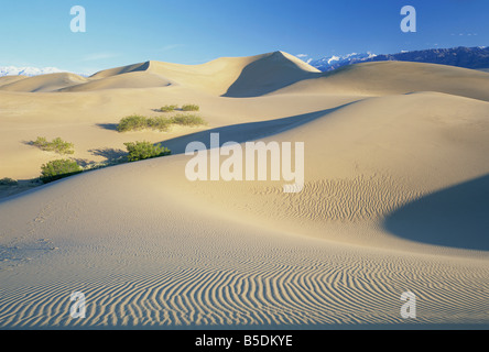 Dunes de sable, la Death Valley National Monument, CALIFORNIE, ÉTATS UNIS, Amérique du Nord Banque D'Images