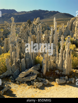 Tufas de carbonate de calcium lac Mono Tufa State Reserve California Etats-Unis d'Amérique Amérique du Nord Banque D'Images