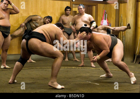 Tôt le matin à une formation stable de sumo au Japon. Banque D'Images