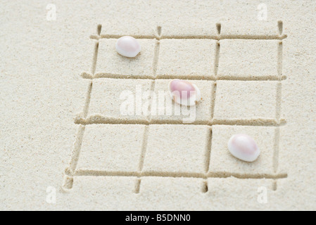 Les coquillages disposés sur la grille tracée dans le sable, close-up Banque D'Images