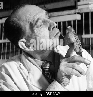 Perruche est un soin de beauté à un bourbier d'animal. Mars 1958 A684-005 Banque D'Images