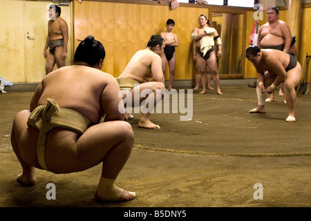 Tôt le matin à une formation stable de sumo au Japon. Banque D'Images