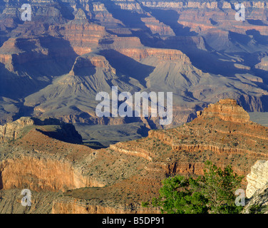 Le Grand Canyon vu de Mather Point, UNESCO World Heritage Site, Arizona, USA, Amérique du Nord Banque D'Images