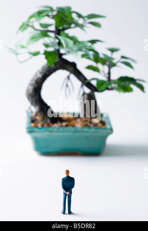 Homme miniature en pot à bonsai, vue arrière Banque D'Images