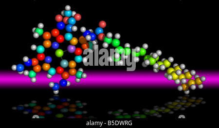Molécule de chlorophylle Banque D'Images