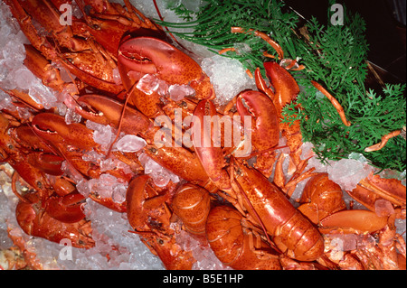 Homards le vendre à populaires du Pike Place Market, Seattle, Washington State, USA, Amérique du Nord Banque D'Images