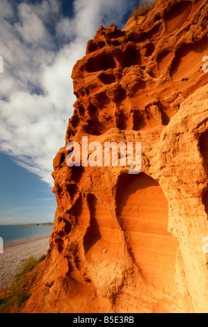 Fragile de falaises de grès érodées par le vent et la pluie sur Saltertons Devon UK Budleigh front Banque D'Images