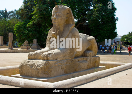 L'Albâtre Sphinx de Memphis Egypte Banque D'Images